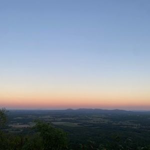 Meet your Posher, Lily